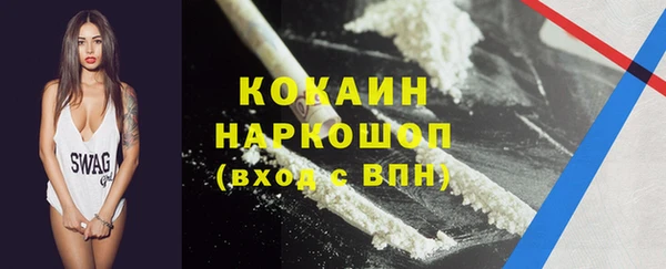 сатива Богданович