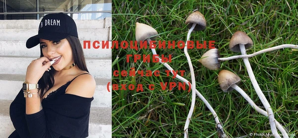 скорость Бронницы