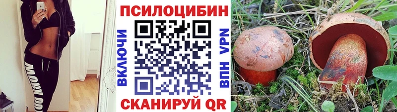 Галлюциногенные грибы GOLDEN TEACHER  Могоча 